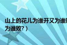 山上的花儿为谁开又为谁败什么歌（山上的野花儿,为谁开又为谁败?）