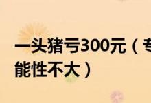 一头猪亏300元（专家分析称猪价继续大跌可能性不大）