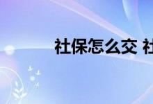 社保怎么交 社保和医保的区别 