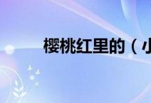 樱桃红里的（小燕子 原名叫什么）