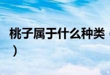 桃子属于什么种类（桃子属于什么种类的水果）
