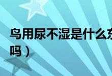 鸟用尿不湿是什么东西（鸟用尿不湿对鸟有害吗）