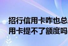 招行信用卡咋也总是提不了额度 招行银行信用卡提不了额度吗