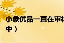 小象优品一直在审核中（小象优品一直在打款中）