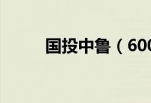 国投中鲁（600962）发行价多少