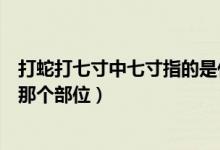 打蛇打七寸中七寸指的是什么部位（打蛇打七寸的七寸是指那个部位）