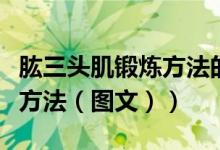 肱三头肌锻炼方法的动作要点（肱三头肌锻炼方法（图文））