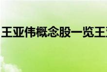 王亚伟概念股一览王亚伟概念上市公司有哪些