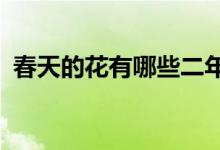 春天的花有哪些二年级（春天的花有哪些?）