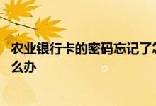 农业银行卡的密码忘记了怎么办 农业银行卡的密码忘记了怎么办