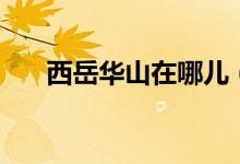 西岳华山在哪儿（西岳华山在哪个省）