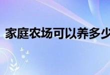 家庭农场可以养多少猪 家庭农场可以贷款吗