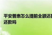 平安普惠怎么提前全额还款怎么操作 平安普惠可以提前全额还款吗