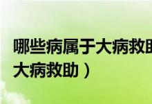 哪些病属于大病救助范围之内的（哪些病属于大病救助）