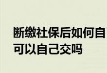 断缴社保后如何自己交社保 北京的社保断交可以自己交吗 