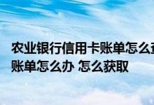 农业银行信用卡账单怎么查不出来 没有收到农业银行信用卡账单怎么办 怎么获取