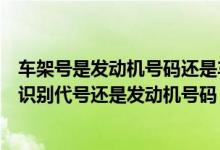 车架号是发动机号码还是车辆识别代码（车架号是不是车辆识别代号还是发动机号码）