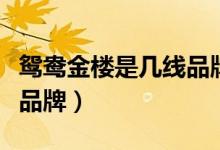 鸳鸯金楼是几线品牌代言人（鸳鸯金楼是几线品牌）