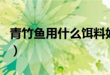 青竹鱼用什么饵料好钓（青竹鱼用什么饵料钓）