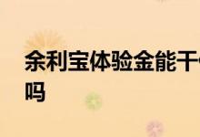 余利宝体验金能干什么 余利宝体验金能消费吗