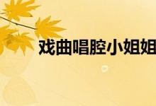 戏曲唱腔小姐姐（戏曲唱腔的特点）