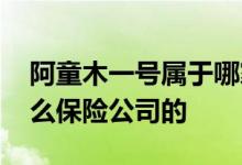阿童木一号属于哪家保险公司 琴童一号是什么保险公司的