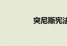 突尼斯宪法公投结束投票