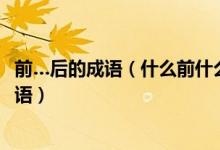 前…后的成语（什么前什么后的成语()前()后(填反义词)的成语）