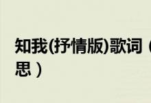 知我(抒情版)歌词（李斌豪《知己》歌词的意思）