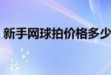 新手网球拍价格多少钱一只（新手网球拍子）
