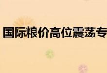 国际粮价高位震荡专家称对国内CPI影响可控