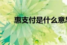 惠支付是什么意思 惠支付是什么意思