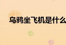 乌鸦坐飞机是什么梗（这个梗怎么来的）