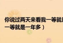 你说过两天来看我一等就是一年多文案（你说过两天来看我,一等就是一年多）