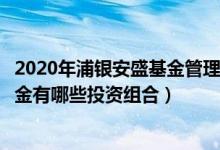 2020年浦银安盛基金管理有限公司的基金总规模有多大（基金有哪些投资组合）