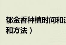 郁金香种植时间和注意事项（郁金香种植时间和方法）