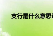 支行是什么意思通俗 支行是什么意思