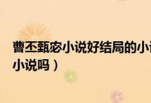 曹丕甄宓小说好结局的小说（有以曹丕和甄宓为主的原创或小说吗）