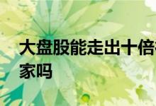 大盘股能走出十倍行情 千亿以上大盘股有庄家吗 