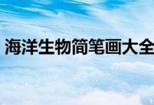 海洋生物简笔画大全图书（海洋生物简笔画）