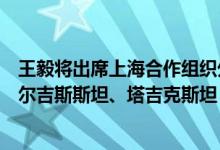 王毅将出席上海合作组织外长会议并访问乌兹别克斯坦、吉尔吉斯斯坦、塔吉克斯坦
