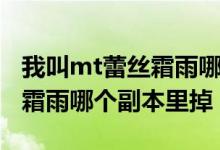 我叫mt蕾丝霜雨哪个副本里掉（我叫mt蕾丝霜雨哪个副本里掉）
