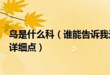 鸟是什么科（谁能告诉我这个鸟叫什么名称属于什么科最好详细点）