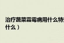 治疗蔬菜霜霉病用什么特效药（治疗白菜霜霉病的特效药是什么）