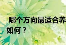  哪个方向最适合养牛？2021年牛的健康状况如何？ 