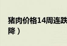 猪肉价格14周连跌（有30个省份猪价迎来下降）