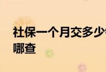 社保一个月交多少钱 怎么算社保信息查询在哪查 