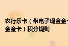 农行乐卡（带电子现金金卡）费用说明 农行乐卡（带电子现金金卡）积分规则
