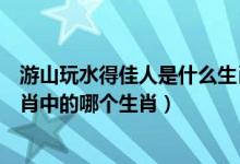 游山玩水得佳人是什么生肖（游山玩水得佳人！是指十二生肖中的哪个生肖）