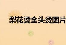 梨花烫全头烫图片（梨花头自己怎么烫）